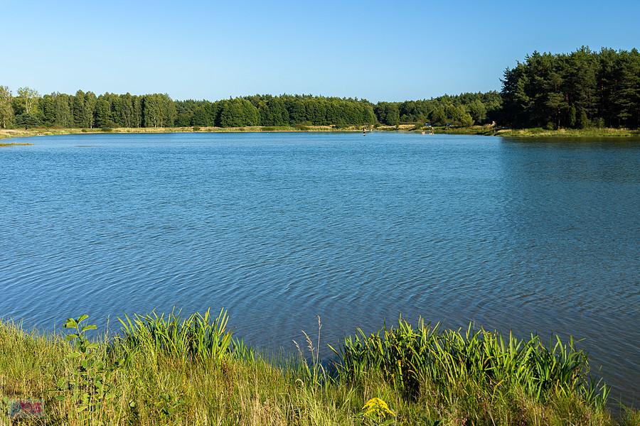 Jeden z zbiorników wodnych w Dzibicach, po wschodniej stronie głównej drogi