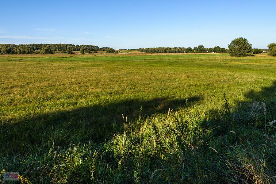 Dzibice, pole niedaleko torów CMK