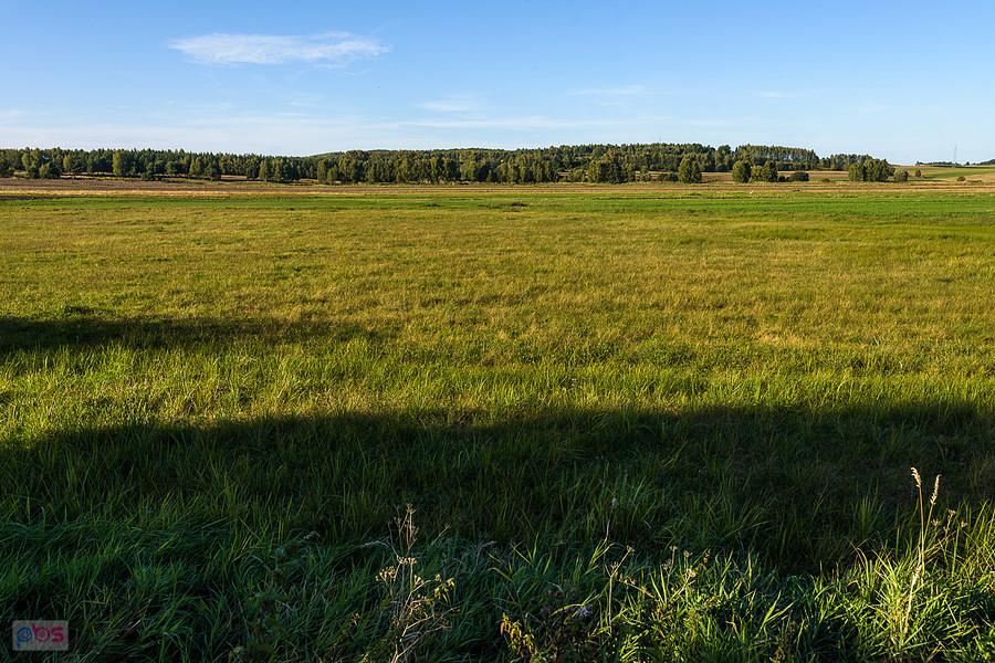 Dzibice, pole niedaleko torów CMK, w oddali spaceruje czapla biała