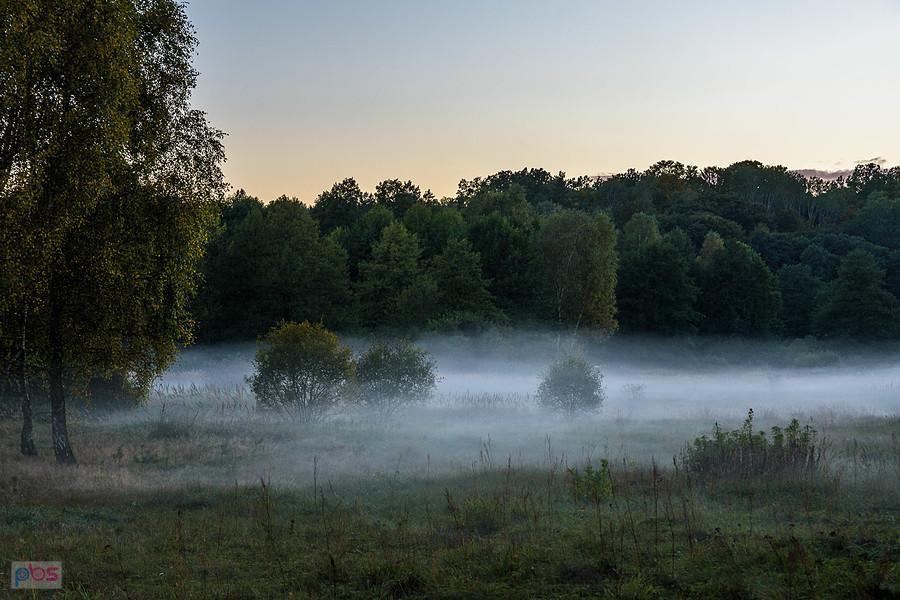 W Zdowie nad polami pojawiły się klimatyczne mgły