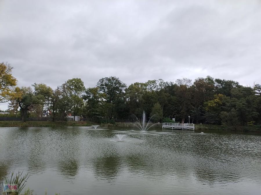 Staw w Ołtarzewie