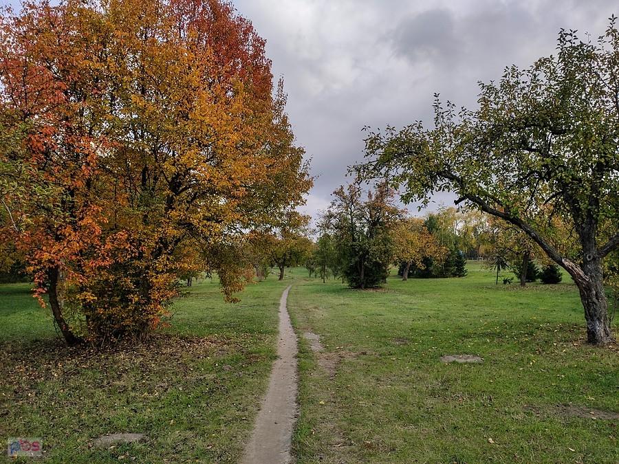 Single track w Dolince Służewskiej