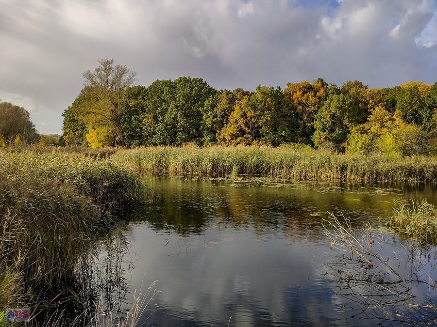 Staw Kaczeńcowy Dolny