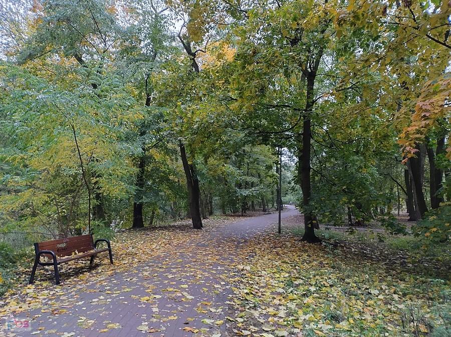 Jesienny park