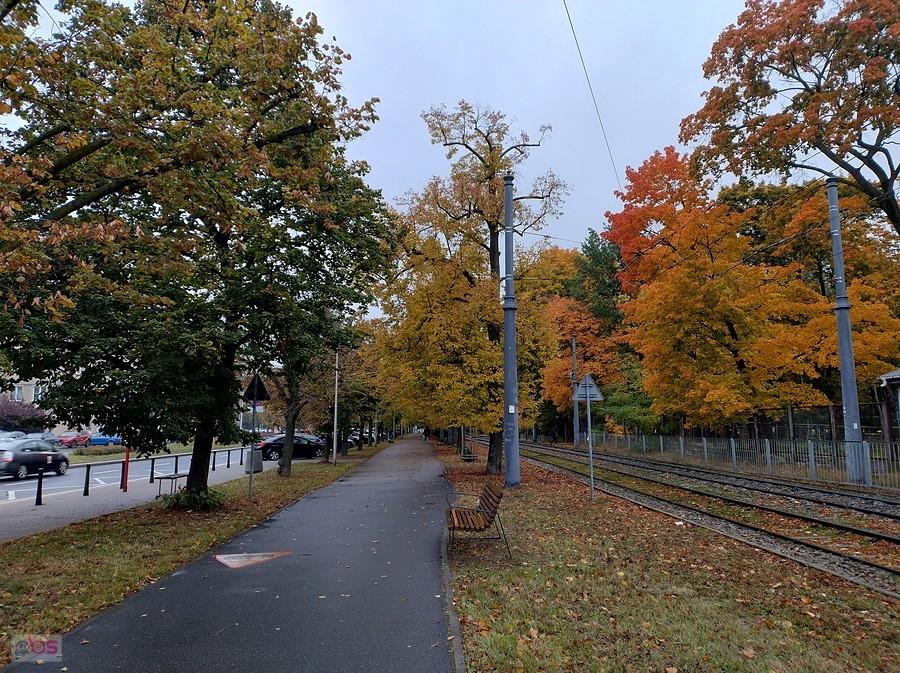 Jesień na Marymonckiej