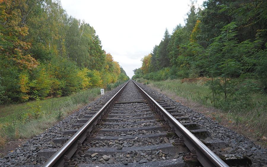 Perspektywa linearna