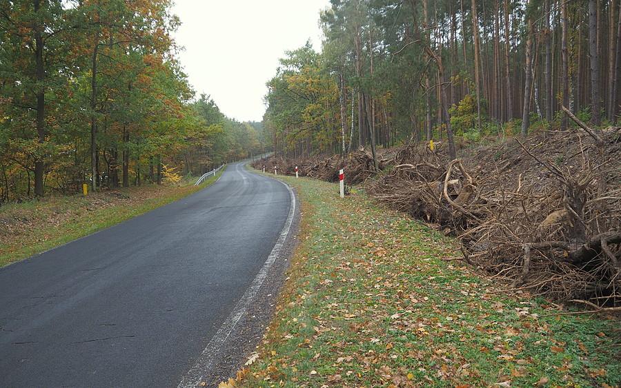 Wykarczowana trasa drogi rowerowej