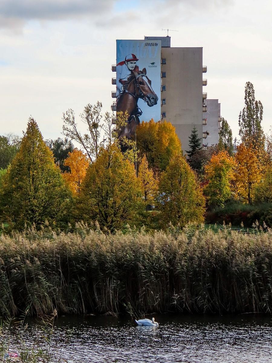 Koński mural