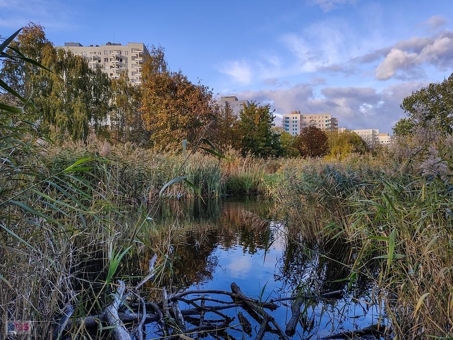 Staw Czarcie Oczko