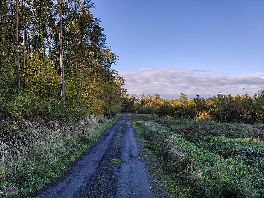 Dukt w kierunku Studzianek