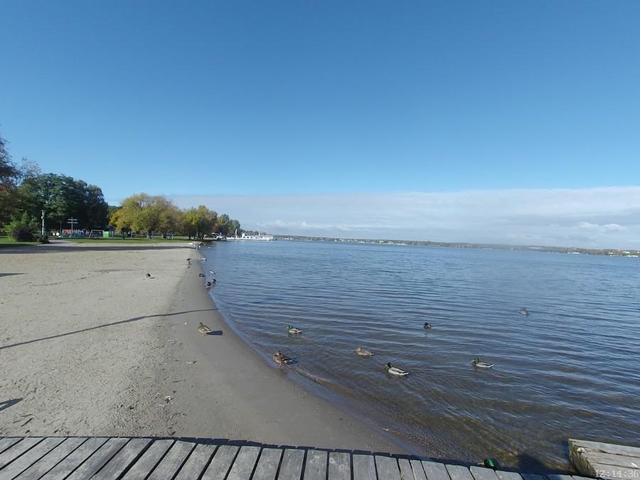 Plaża w Nieporęcie