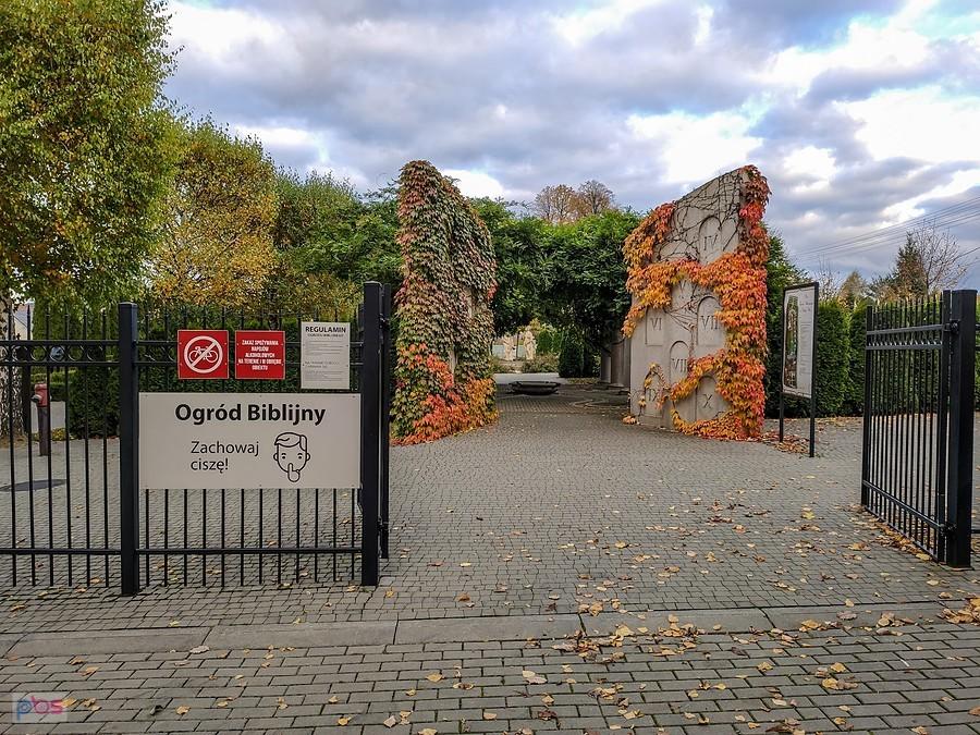 Ogród Biblijny w klasztorze Jezuitów w Starej Wsi