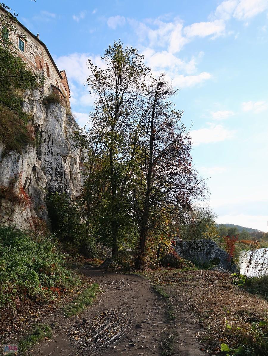 Ścieżka nad Wisłą w Tyńcu