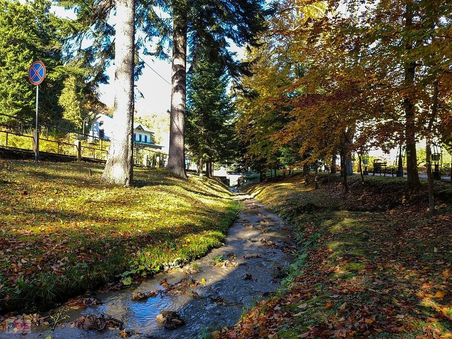 Niewielki potok Iwoniczanka ma zaledwie 13 km