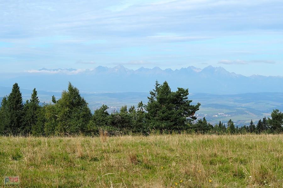 widok na Tatry