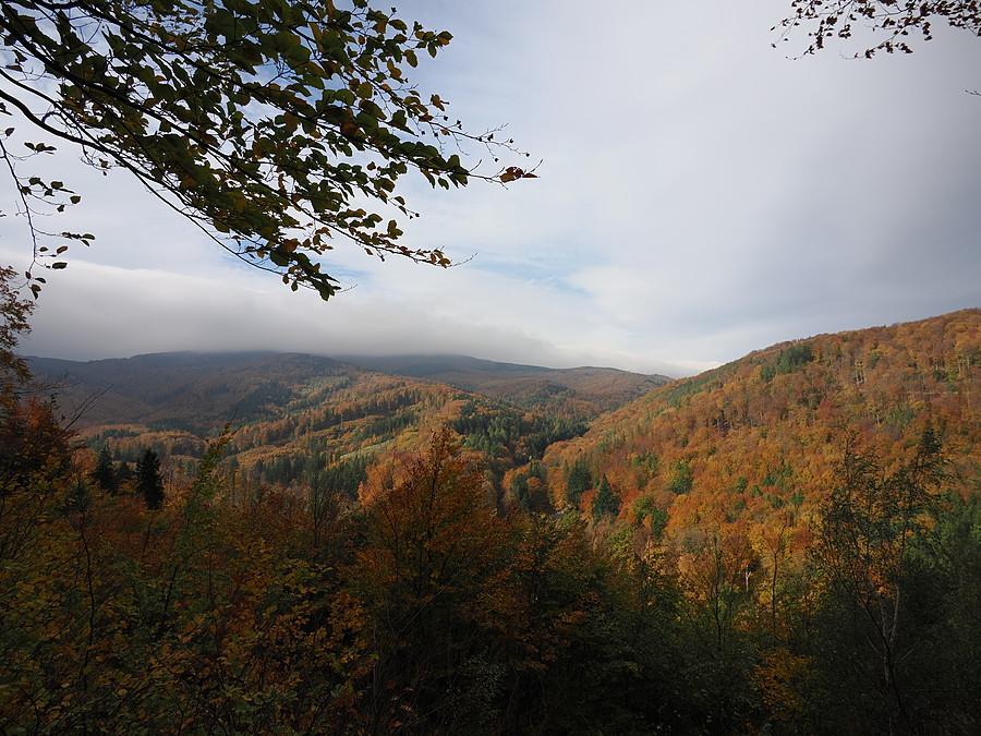 Widok na Jesienne Góry Sowie z platformy pod Kocim Grzbietem