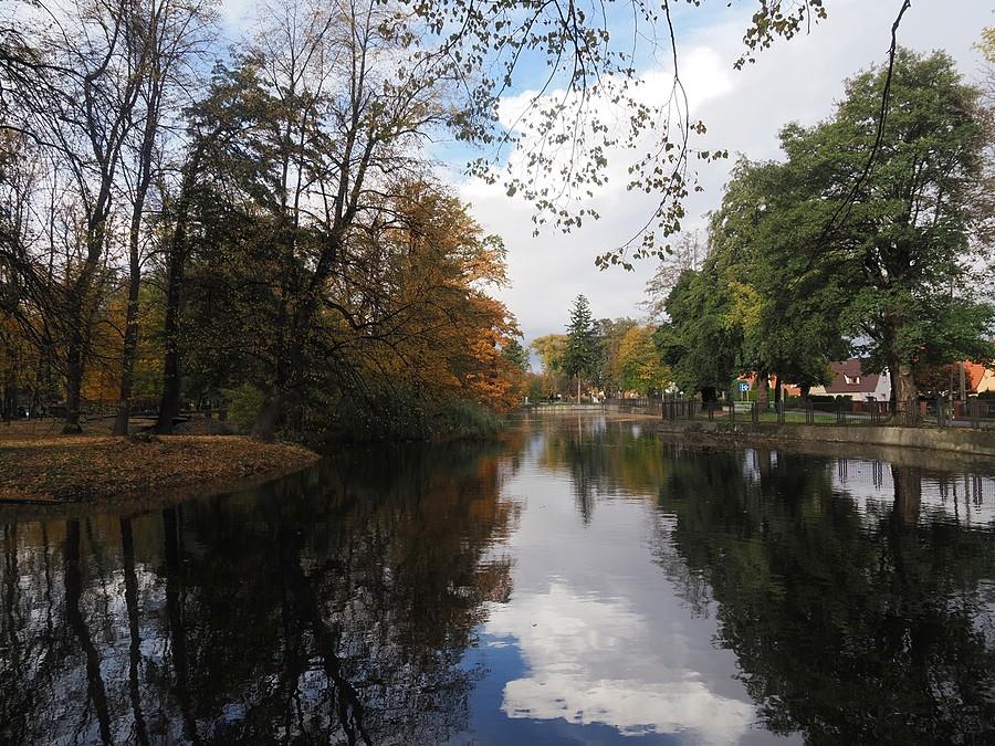 Park Miejski w Bielawie