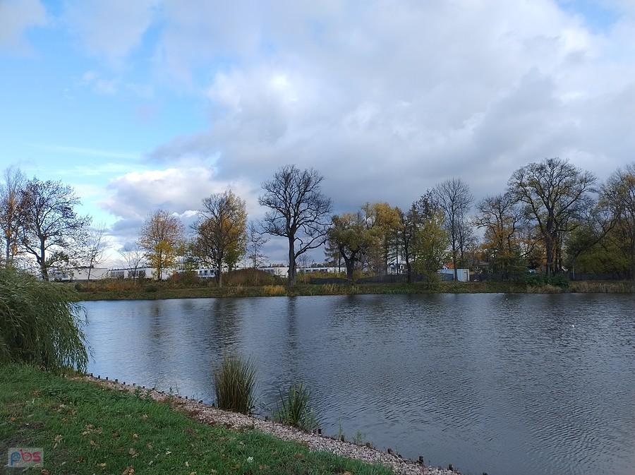 Staw w Ołtarzewie