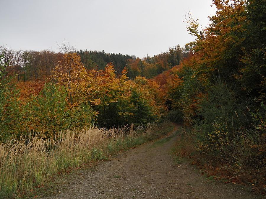 W Drodze na Koci Grzbiet, jesień na pełnej