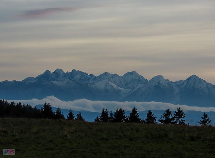 Widok na Tatry z przeł. Osice nad Hałuszową