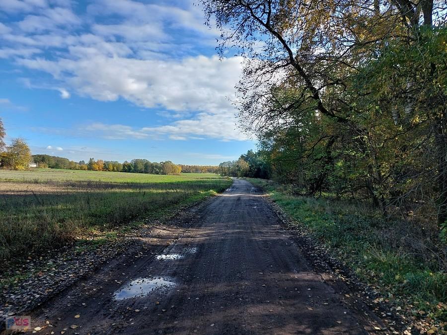 Droga koło Jastrzębi Górnych