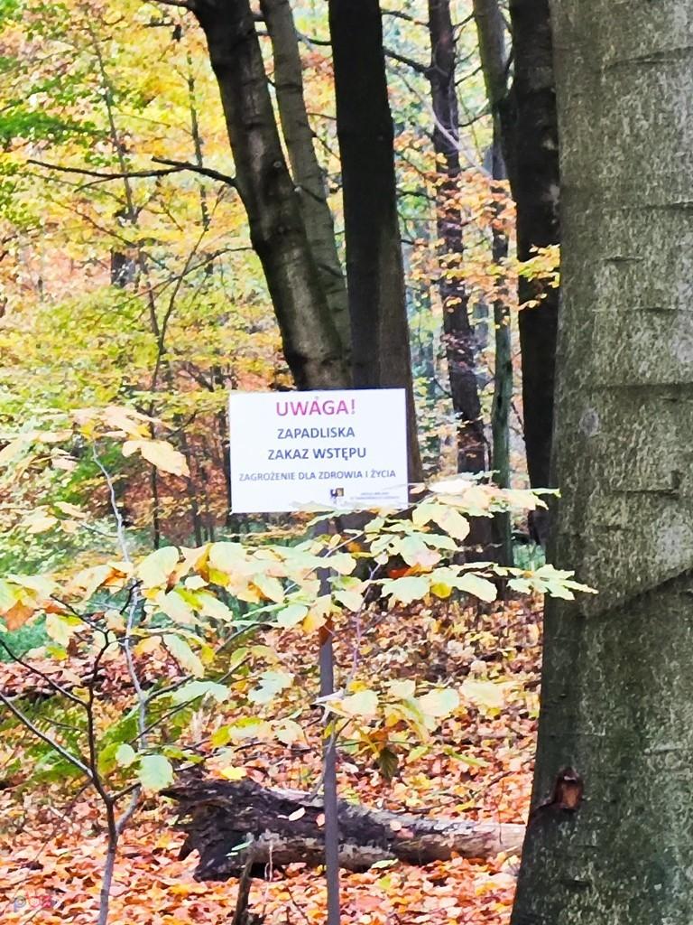 to jakaś nowość
