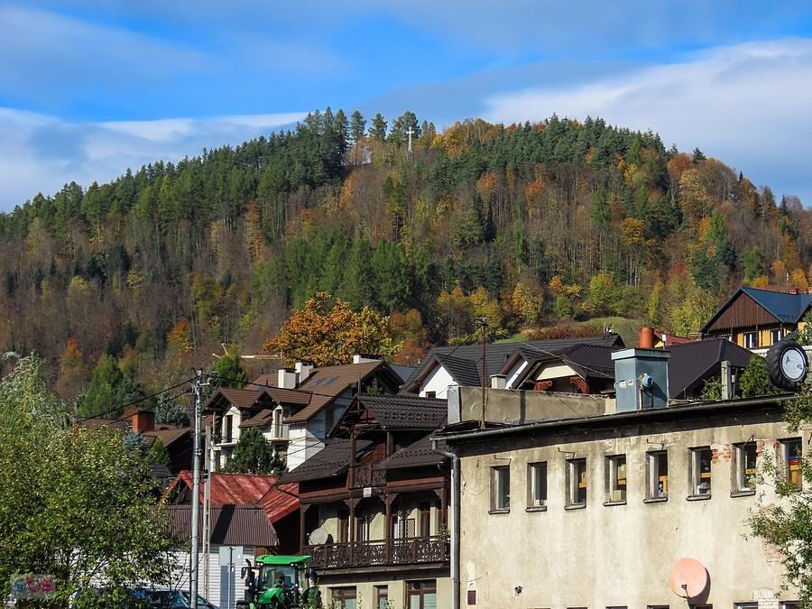 Bryjarka - widok z Zawodzia