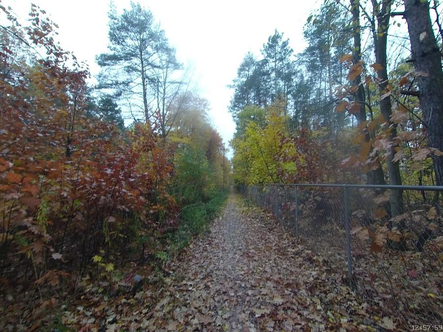 Mokro i pada, Julinek ddr