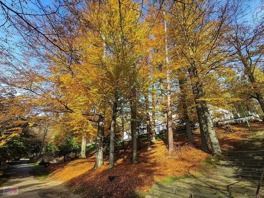 Park Górny przy Inhalatorium