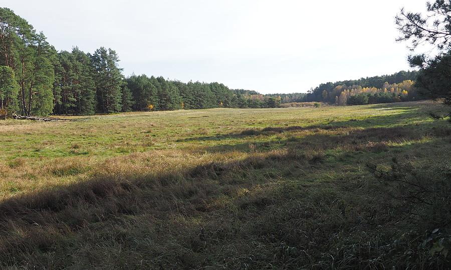 Łąka w Macadel