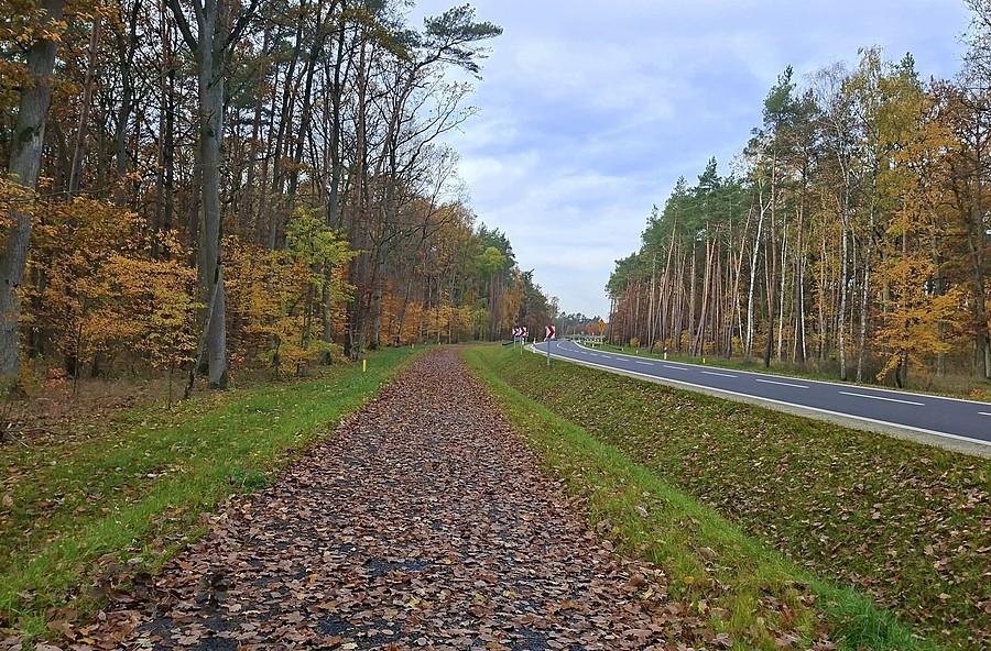 Nowa śmieszka - oczywiście niesprzątana