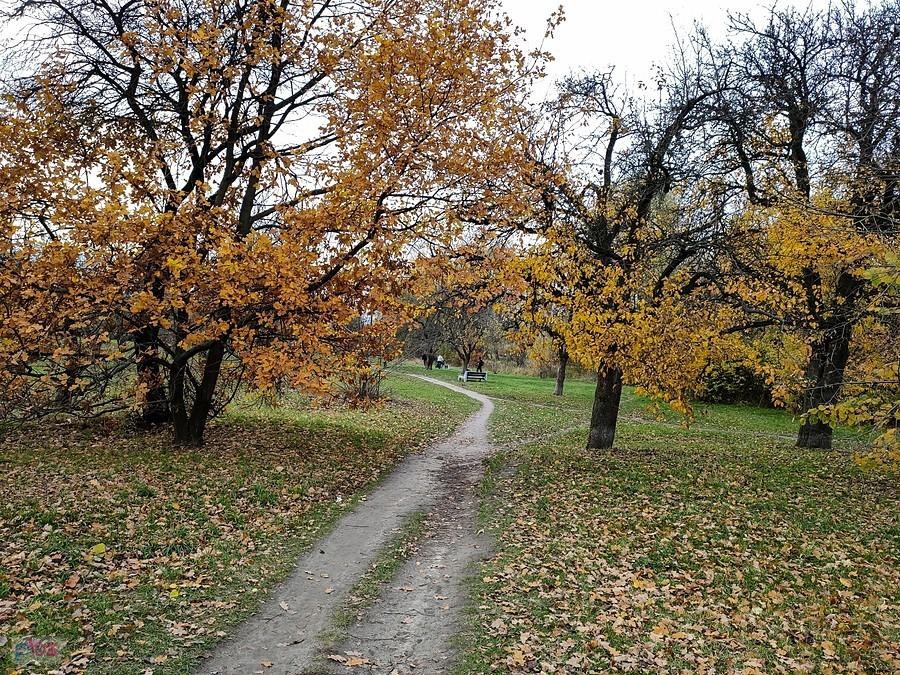 Ścieżka w kierunku ul. Puławskiej
