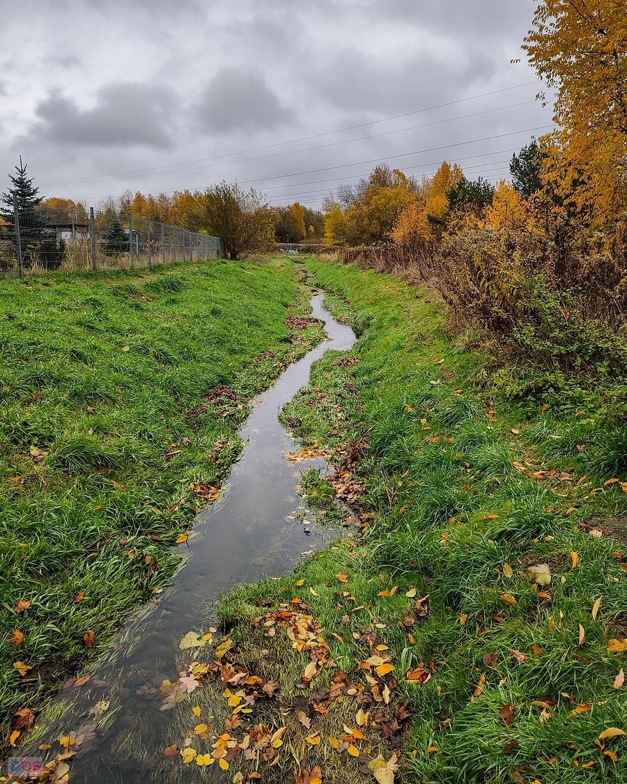 Rów Jeziorki