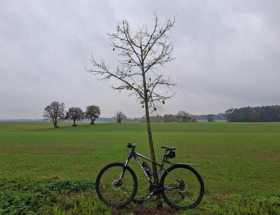 Rowerówka na szaro