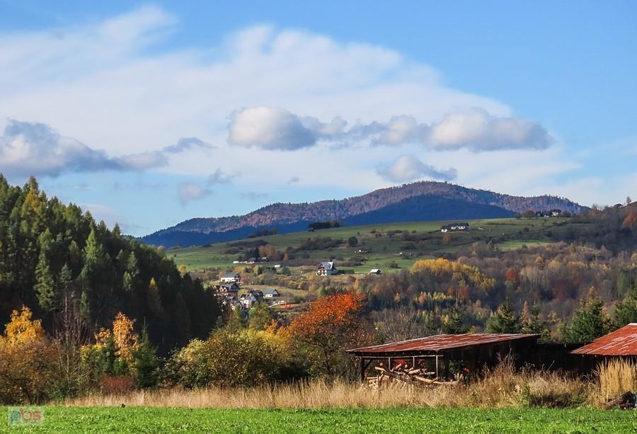 Pasmo Dzwonkówki