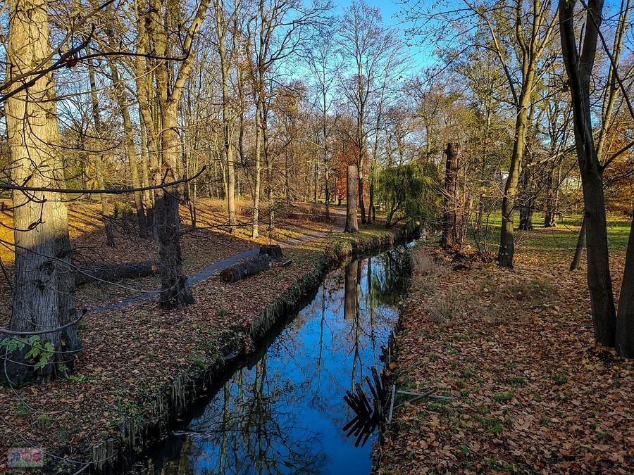 Potok Służewiecki na terenie ogrodów pałacu wilanowskiego