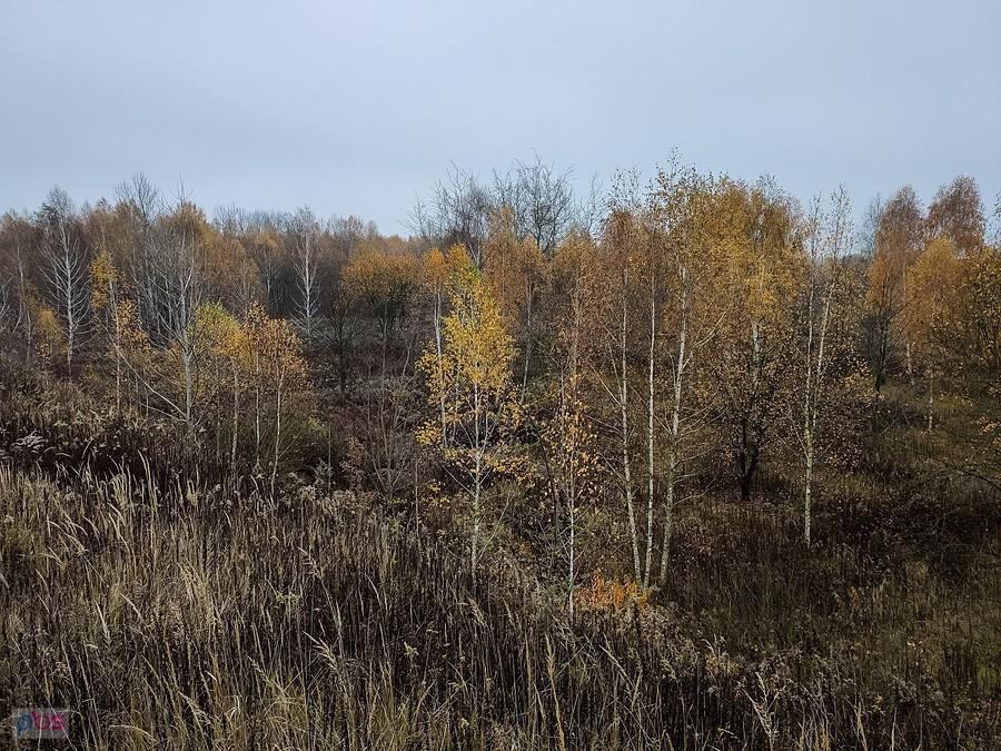 Widok z górki julianowskiej