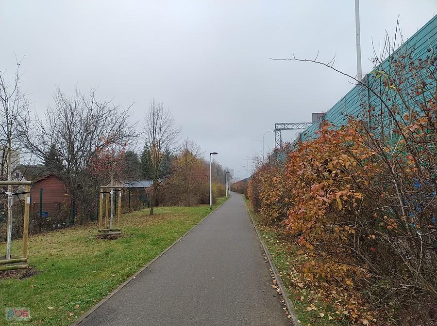 Ostatnie kolorowe liście