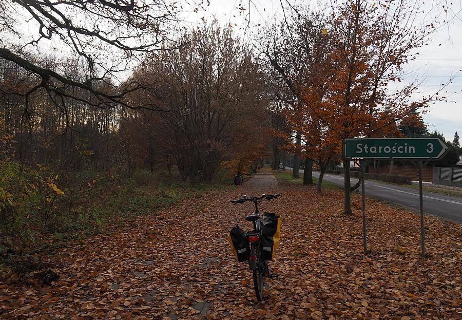 Rzepin, okolice skrętu na Starościn