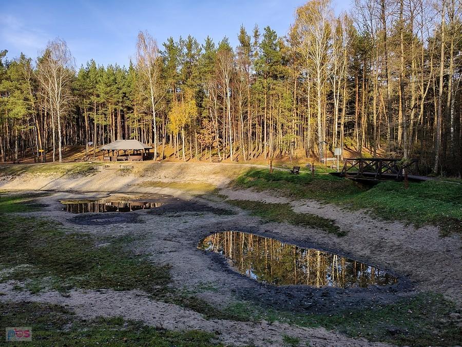 Z lewej strony pod mostkiem, wpływała do stawu leśna struga