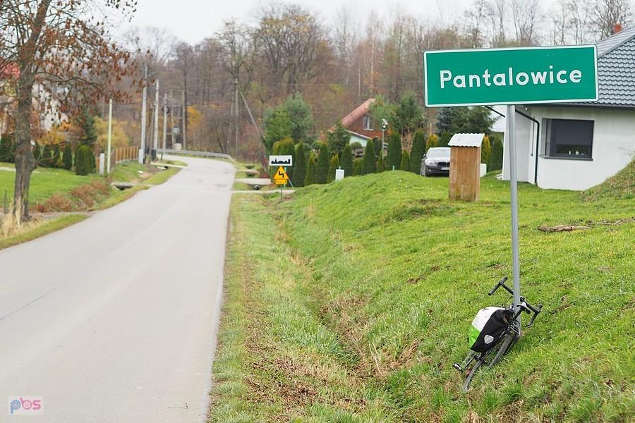 Pantalony? nie Pantalowice