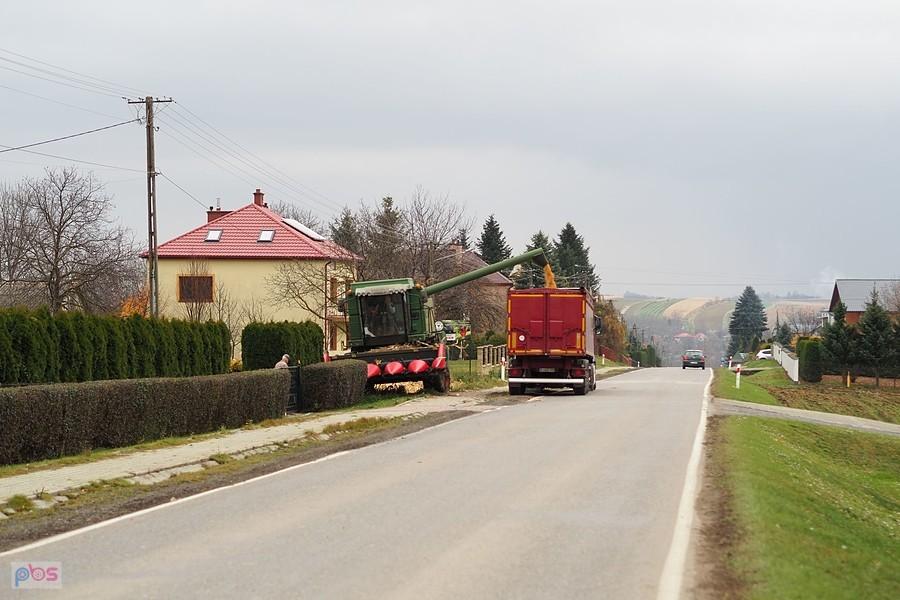 zrzut kuku na drodze wojewódzkiej