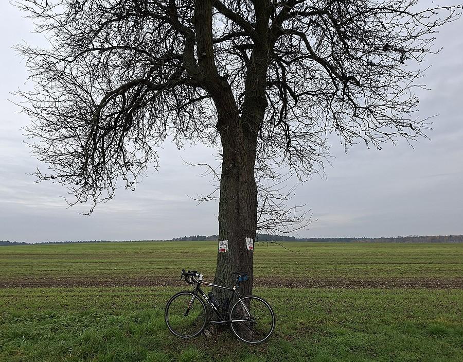 Rowerówka kolejna do kolekcji