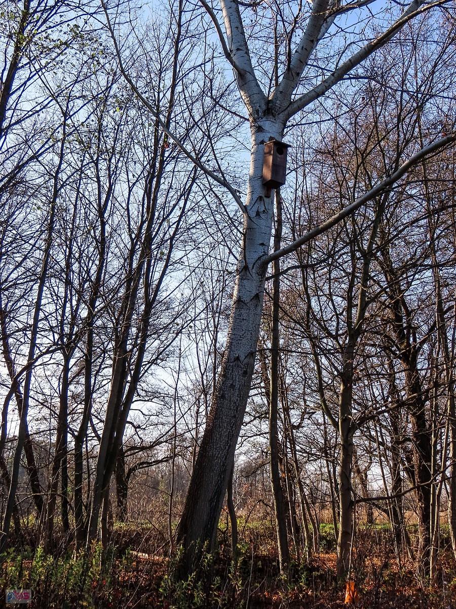 Kacza budka lęgowa