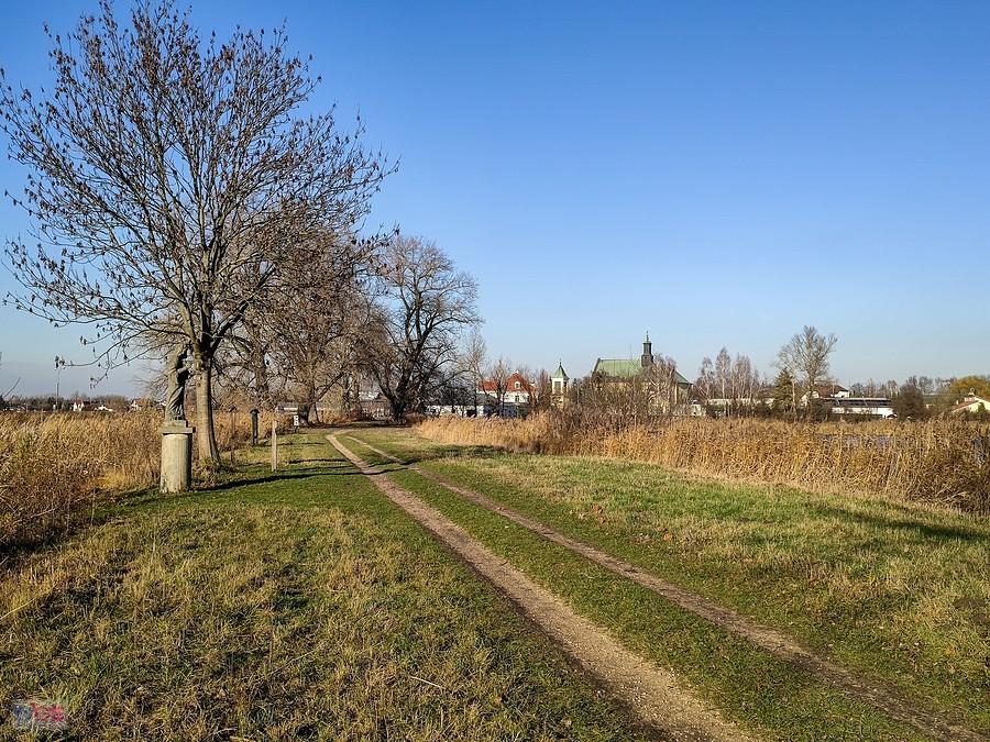 Grobla raszyńska