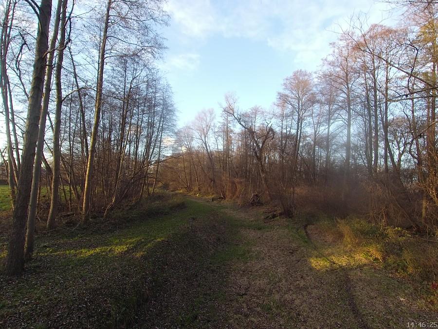 Wyschnięte na amen koryto rzeczki Wilanówki