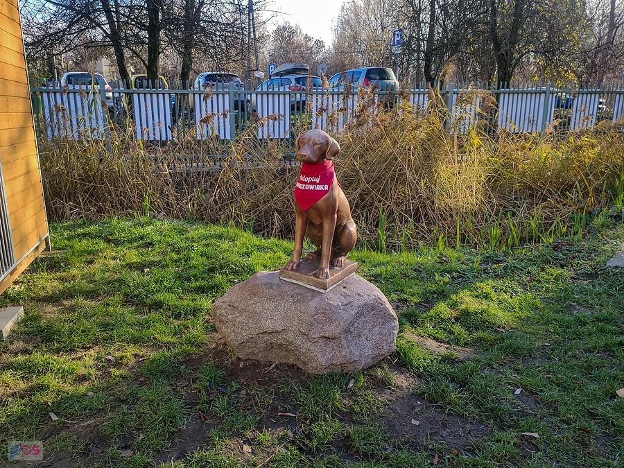 Adoptuj Warszawiaka