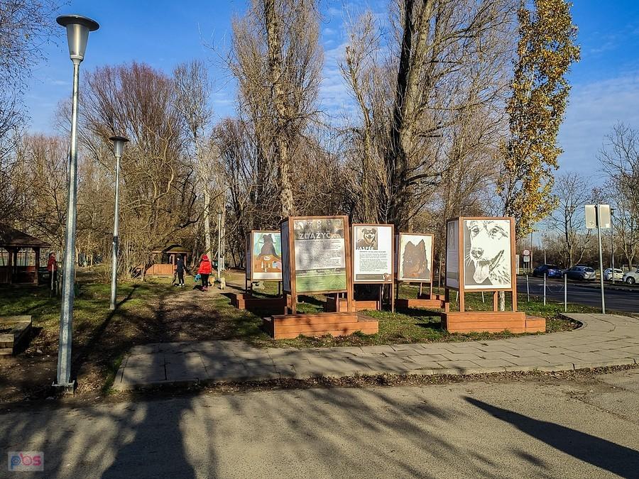 Teren przy Schronisku, gdzie wolontariusze spacerują z psami