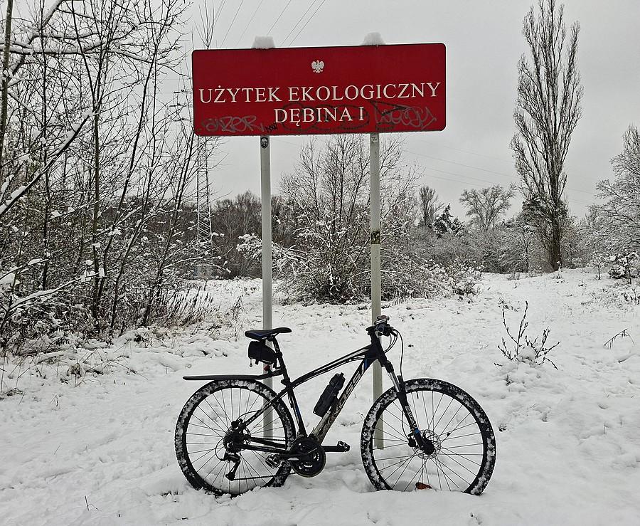 W śniegu na granicy użytku
