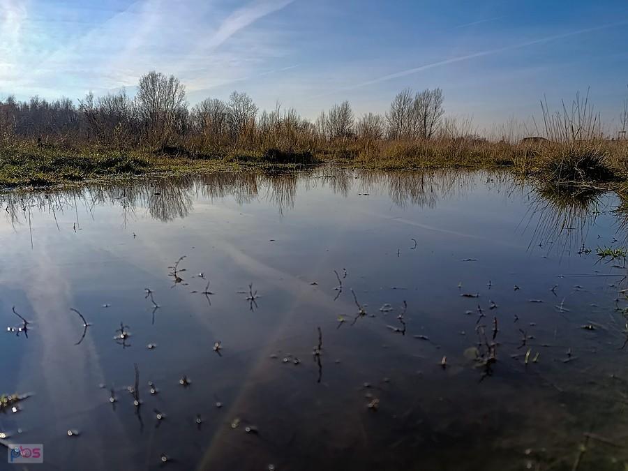 Bagienko ursynowskie nad tunelem POW